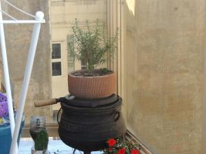 Recoleta Mediterráneo