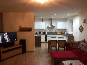 Apartment KOPA L - 维尼