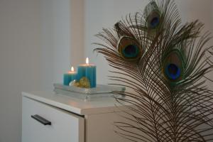 El Apartamento De Papá - Mil Palmeras