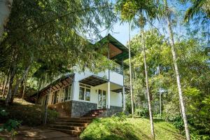 The Woods Resorts Wayanad