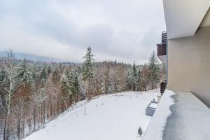 Twin studio Silver Mountain Poiana Brasov