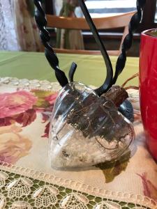 Apartment Ray ot Durvo