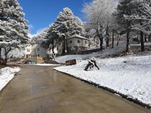 Shkreli Resort Qafeshtame