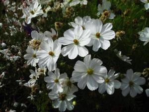 Apartman neapart - g&uuml;nstig wohnen auf zeit Neustadt an der Aisch Njemačka