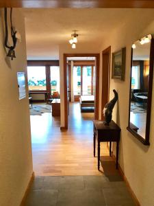 Central, Cosy, Sunny & Sauna