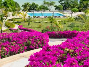 Jua Retreat Adults Only