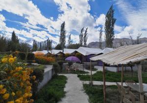 Tiger Camp Nubra