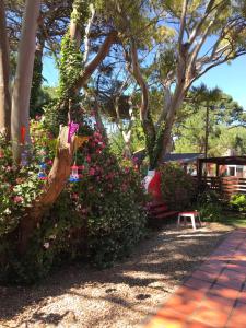 B&B Mi Casa Es Tu Casa