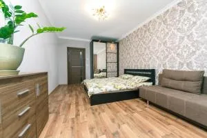 Позняки Олени Пчілки большая 3 ка возле Ашана - Novi Pozniaky