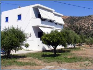 Liofyto Apartments Rethymno Greece