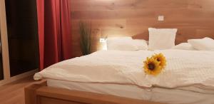 Ferienbungalow Mountain View Wood