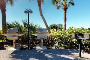 Peppertree Perfection