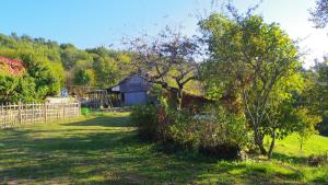 Sejours a la campagne Grande maison de vacances au coeur du Perigord Noir nature et confort : photos des chambres