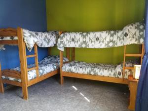 Arbolada Talas del Tuyu