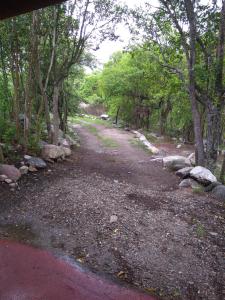 Casita siempre verde