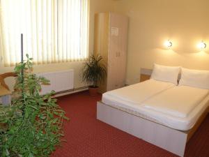 Pensiunea Beverly Hills