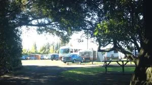 Greytown Campground - Gladstone