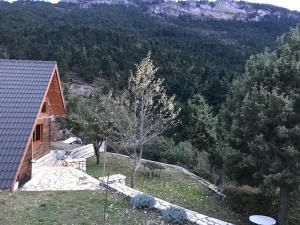 Chalet in the Forest Achaia Greece
