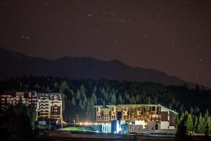 Timber view apartment Silver Mountain Poiana Brasov