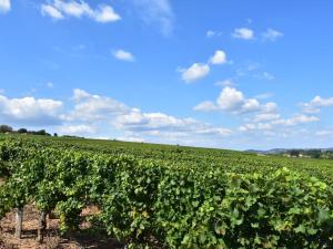 Maisons de vacances Tasteful Holiday Home in Sormery with Swimming Pool : photos des chambres