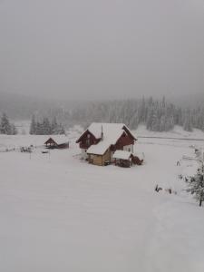 Pensiunea Agroturistica Alexandra