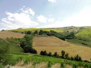 Agriturismo Casa Rosa