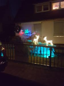 Ferienwohnung Orchidee