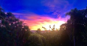 Daintree Manor B&B