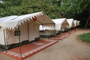 Nature Camp Konark Retreat
