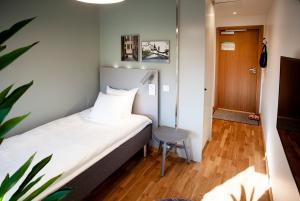 Single Room room in The Studio Hotel