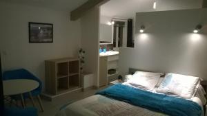 Maisons de vacances STUDIO EN TOURAINE : photos des chambres