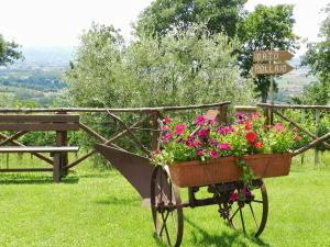Agriturismo Assisi La Rocca