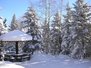 Brvnara i Apart Zlatiborski Mir