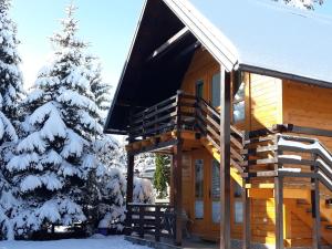 Brvnara i Apart Zlatiborski Mir