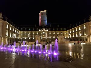 Hotels Hotel Montchapet Dijon Centre : photos des chambres