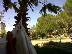 Residence Sa Pintadera img21