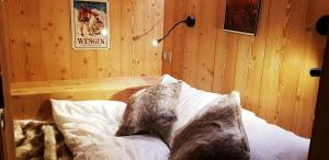Lodges La Bergerie de Louvie : photos des chambres