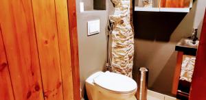 Lodges La Bergerie de Louvie : photos des chambres