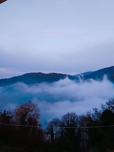 Evridiki Pelion Greece