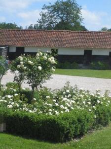 Hotels Hotel Le Clos De La Prairie : photos des chambres