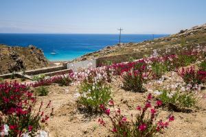 VILLA ANARINA 2 MYKONOS Myconos Greece