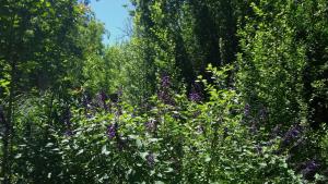 Complejo Casa Caracolnegro