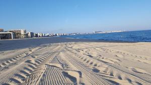 Marina Park, House Fragata