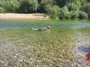 אצלנו - בגליל העליון - 谢莫纳城