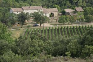 B&B / Chambres d'hotes Abbaye de Capservy : photos des chambres