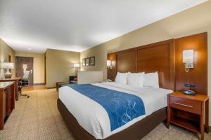 King Suite - Non-Smoking room in Comfort Suites Cedar Falls