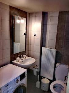 Spacious and Modern Downtown Apartment