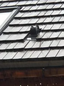 Lachtalchalet - Pusterwald