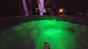 Ranczo w lesie jacuzzi w ogrodzie