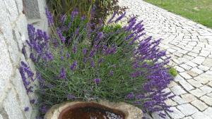 Penzion Pod Jáchymem